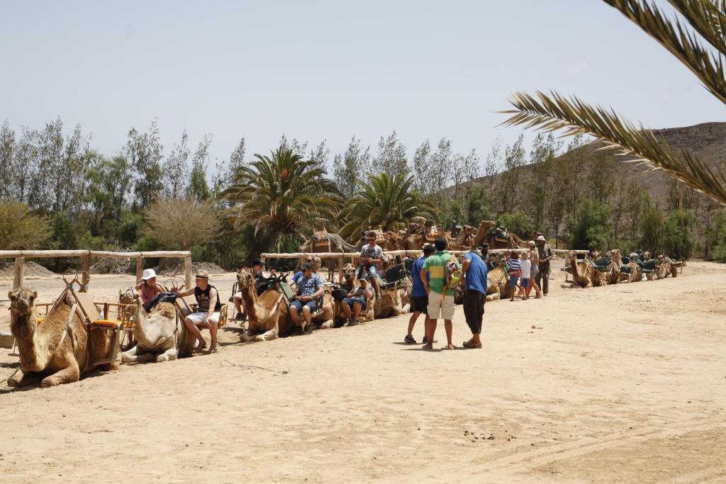 Bungalows El Jardin Otel Pájara Dış mekan fotoğraf